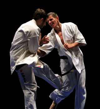 Illustration for article titled The Road to Black Belt: The Terror of the Low Kick